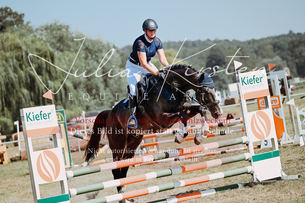 DSC_9867 | Pferde- und Turnierfotografie in Westsachsen. Pferdeportraits, Auftragszeichnungen und intuitive Kunst.