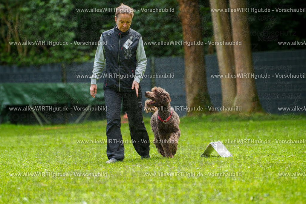@allesWIRTHgut_Tierfotografie - www.allesWIRTHgut.de - 7R501134 | Professionelle Tierfotografie in Mönchengladbach von Daniel Wirth (allesWIRTHgut). Liebevolle & natürliche Bilder von Hunden & Katzen für unvergessliche Erinnerungen.