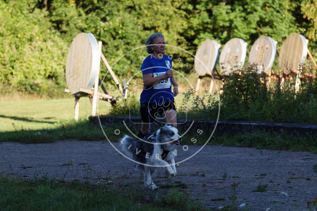 0L8A4881 | Hundefotografie, Tierfotograf, Pfotenfotografie, Fotoshooting Hund, Hunde Portrait, Hundesport, Hundeportraits, Heideshooting, Hunde, Sportfotograf, Hundefotograf, Turnierhundsport, THS,  - Realisiert mit Pictrs.com