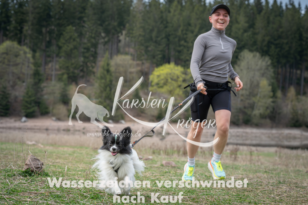 1833_ZZ99268 | kk-dogfotos