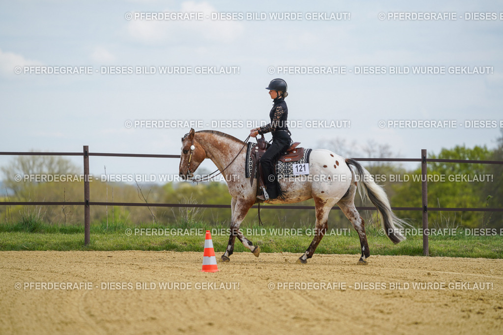 DSC05662 | Pferdegrafie