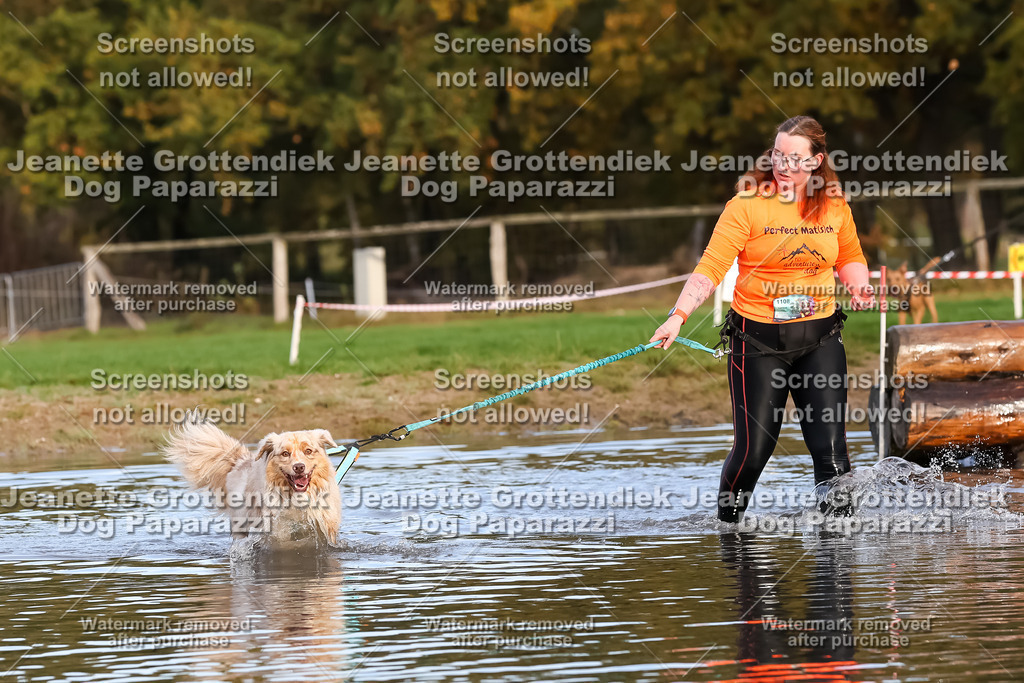 Dog Paparazzi - Strongdog 10-25-7027 | Dog Paparazzi Jeanette Grottendiek Fotografie & Videografie - Realisiert mit Pictrs.com