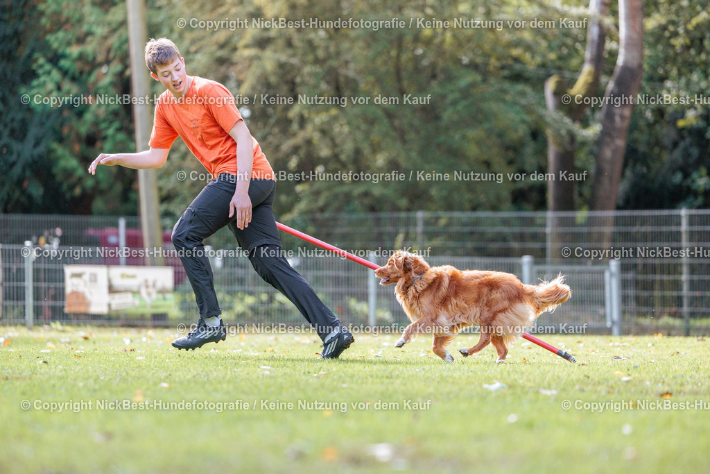 THS-HSV-Blumenthal-2026-Nickbest-Hundefotografie-3010 | Dein Hund! Dein Moment! Deine Erinnerungen! Hundefotografie in Bremen Blumenthal. Ich fange die besonderen Momente deines Vierbeiners ein – ob Indoor mit Blitzanlage oder in der freien Natur. Sicher dir dein Moment und dein Termin für eure Erinnerungen.