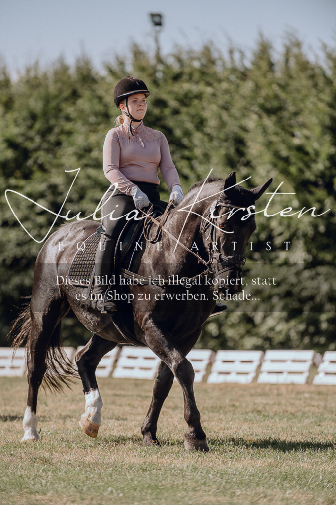 DSC_7101 | Pferde- und Turnierfotografie in Westsachsen. Pferdeportraits, Auftragszeichnungen und intuitive Kunst.