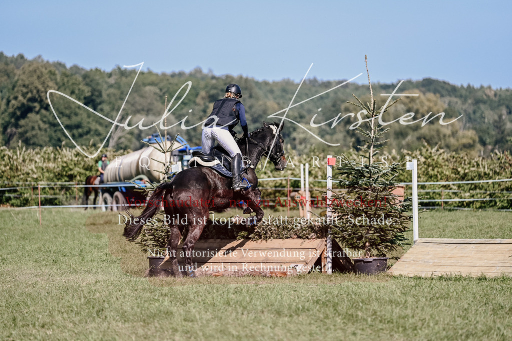 DSC_3246 | Pferde- und Turnierfotografie in Westsachsen. Pferdeportraits, Auftragszeichnungen und intuitive Kunst.