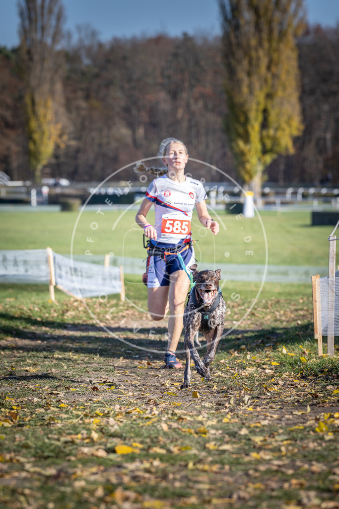 CaniXpix_DV3A9135 | Hundefotografie, Tierfotograf, Pfotenfotografie, Fotoshooting Hund, Hunde Portrait, Hundesport, Hundeportraits, Heideshooting, Hunde, Sportfotograf, Hundefotograf, Turnierhundsport, THS,  - Realisiert mit Pictrs.com