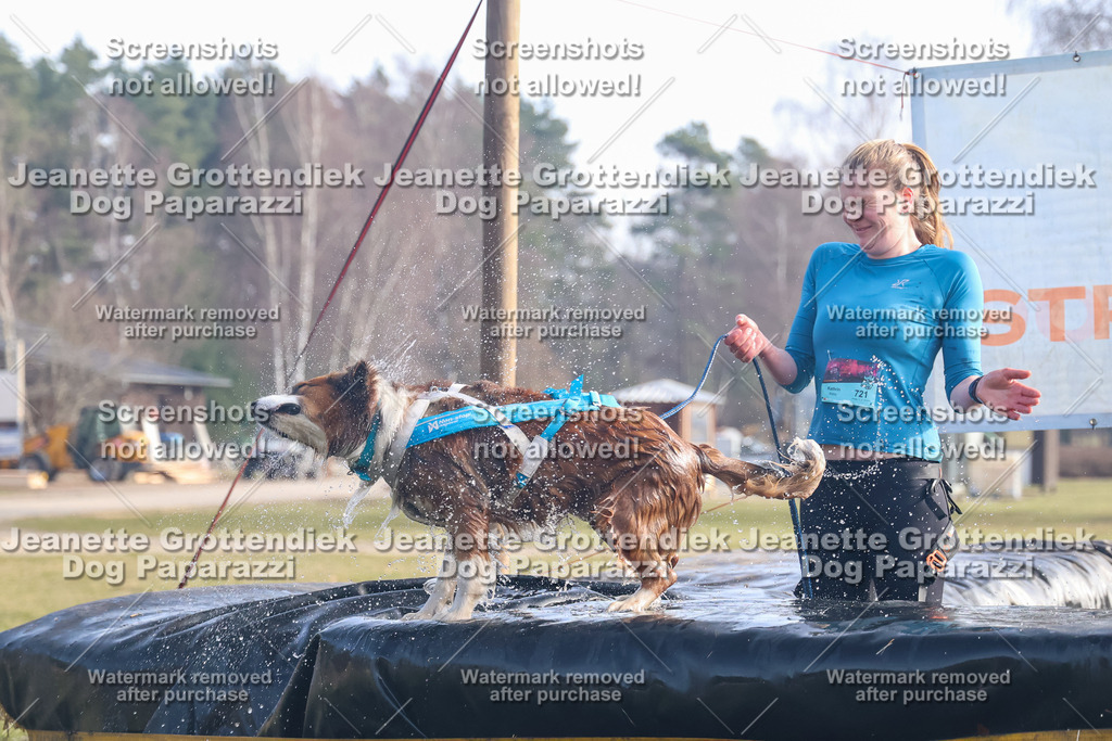 Dog Paparazzi - Strongdog North Mrz26-451 | Dog Paparazzi Jeanette Grottendiek Fotografie & Videografie - Realisiert mit Pictrs.com