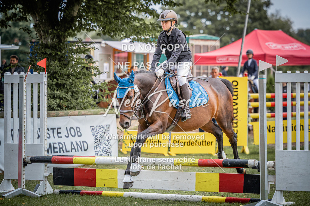 nelerasche_StilSpr60Ede_89 | nelerasche