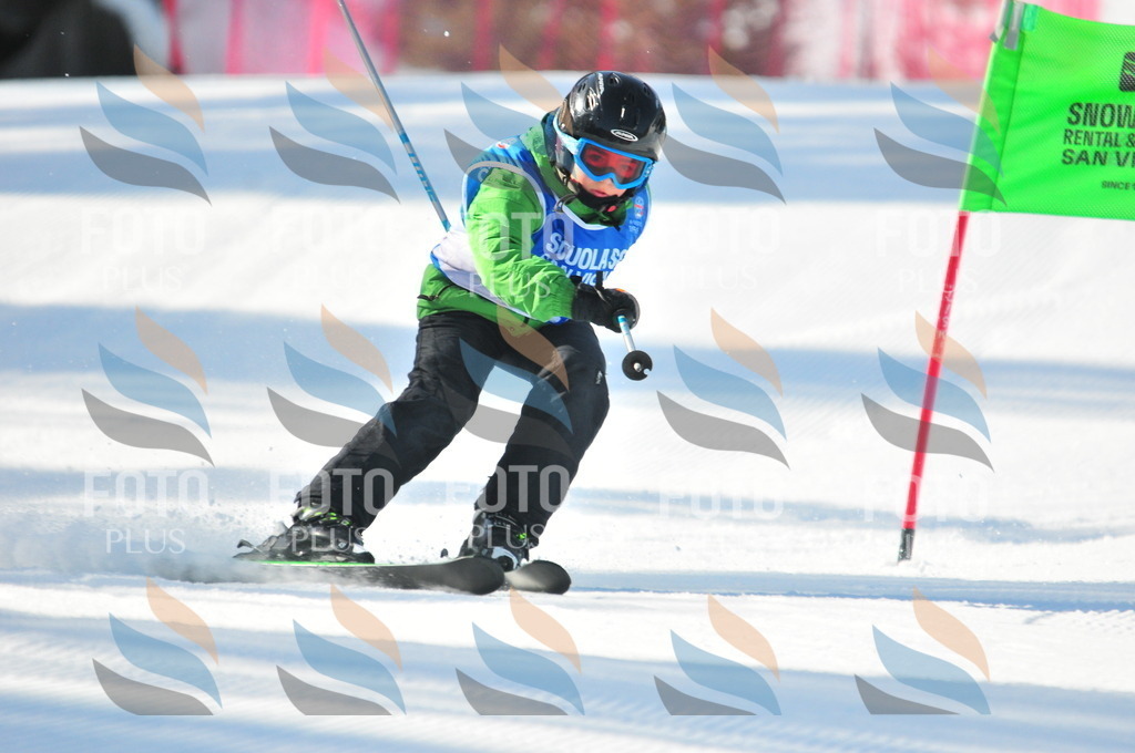 B8784 | holidayphoto