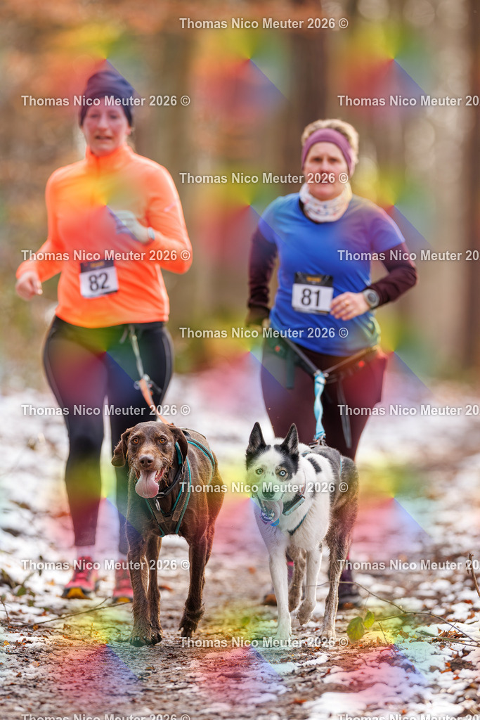 Thomas_Nico_Meuter(C)_223A9203 | Bild von Thomas Nico Meuter - Realisiert mit Pictrs.com