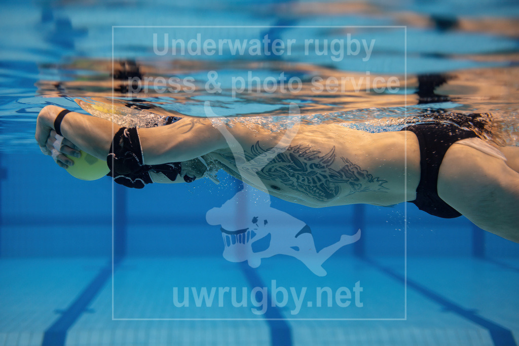 Underwater rugby action press picture | Bamberg, Germany - March 04 2023: Underwater rugby training camp of the Tauchclub Bamberg together with the Austrian national team. - Realisiert mit Pictrs.com