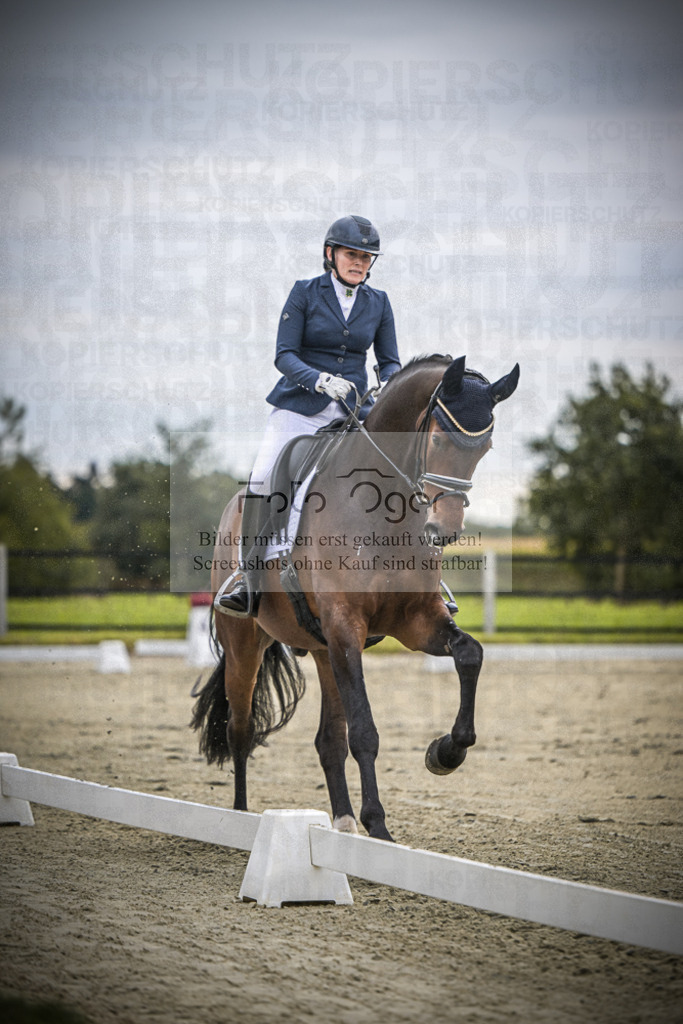 DOS_1152 | Entdecke hochwertige Reitturnierfotos von Foto Oger. Professionell, emotional und authentisch – jetzt Lieblingsmomente im Shop bestellen.Deutschlandweite Turnierfotografie. - Realisiert mit Pictrs.com