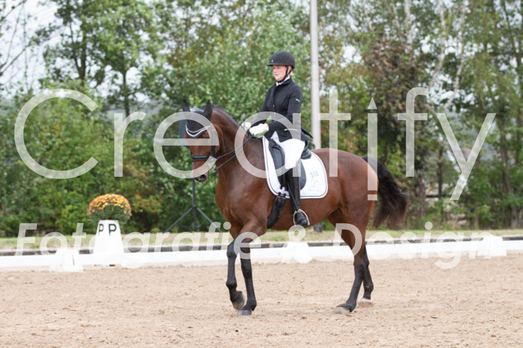 IMG_7188 | Creatify Fotografie