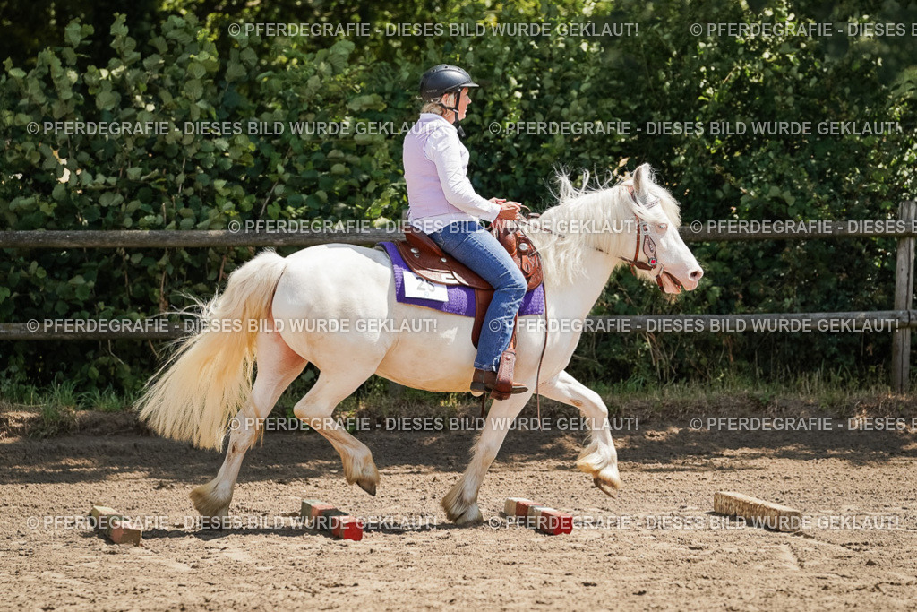 DSC07263 | Pferdegrafie