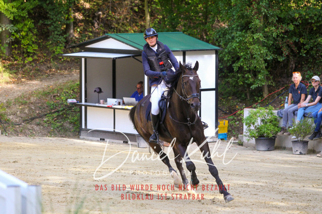 DKP42401 | Deine Turnierfotos vom Reitturnier online kaufen: Dressur, Springen & Siegerehrung. Professionelle Pferdefotografie aus dem Rheinland – als Download & Print.Alternative: Turnierfotograf für den Pferdesport: Finde deine Fotos von Dressur- und Springturnier