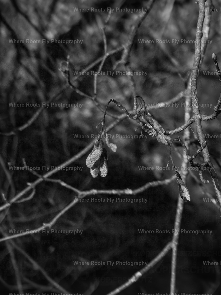 PSX_20230220_232236 | mtkfoto_ - Realisiert mit Pictrs.com