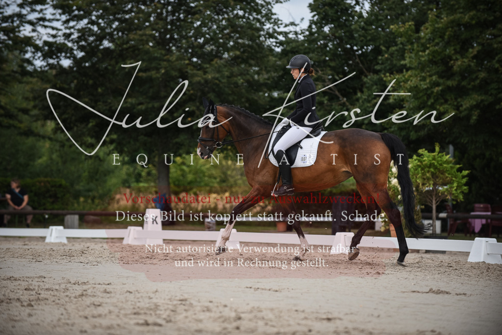 DSC_8538 | Pferde- und Turnierfotografie in Westsachsen. Pferdeportraits, Auftragszeichnungen und intuitive Kunst.