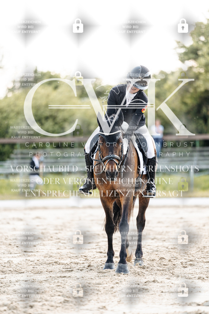 CK909607 | Turnierfotografie Pferdefotografie Trier Rheinland-Pfalz Pferdesport Reitsport Tierfotografie Sportfotografie Pferdevideo Pferdevideografie Equestrianvideography equestrianphotography  - Realisiert mit Pictrs.com
