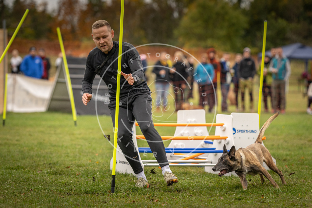 Pfotenfotografie_DV3A6955 | Hundefotografie, Tierfotograf, Pfotenfotografie, Fotoshooting Hund, Hunde Portrait, Hundesport, Hundeportraits, Heideshooting, Hunde, Sportfotograf, Hundefotograf, Turnierhundsport, THS,  - Realisiert mit Pictrs.com