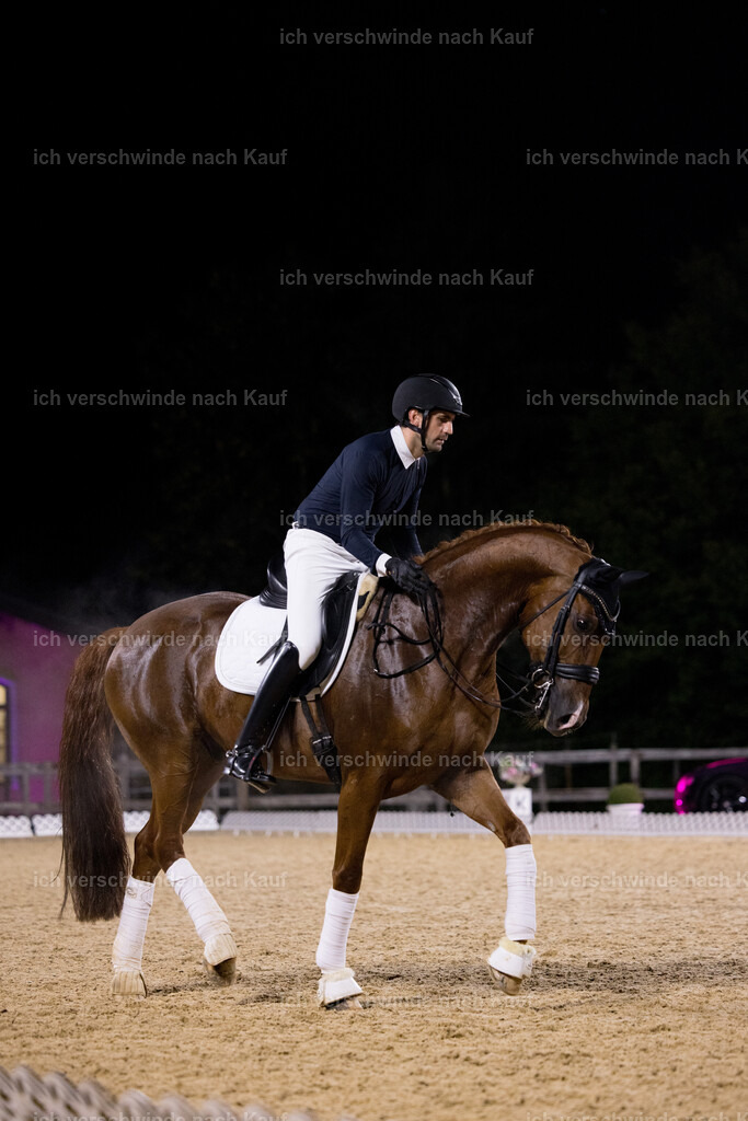 FHC2025 Isabell Werth-26582 | working equitationturnier fotograf videograf stoibphotography marixx film working equitation deutschland reitsport turnierfotografie eventfotografie equestrian events