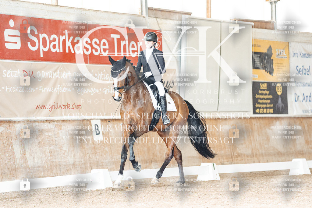 CK901803 | Turnierfotografie Pferdefotografie Trier Rheinland-Pfalz Pferdesport Reitsport Tierfotografie Sportfotografie Pferdevideo Pferdevideografie Equestrianvideography equestrianphotography  - Realisiert mit Pictrs.com