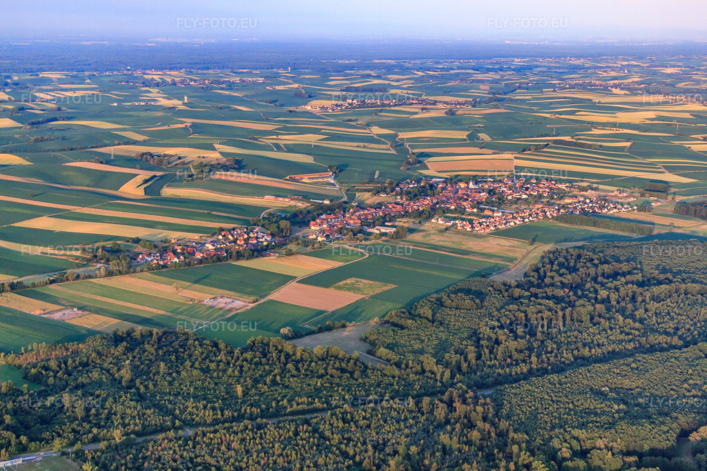 Vue aérienne: Vue de la ville depuis le nord-est à Niederlauterbach dans le département Bas Rhin, France.Photo: IMG_67972.jpg prise le 19/06/2014 par Werner Riehm/FLY-FOTO.euRésolution de l'original: 4752 x 3168 px