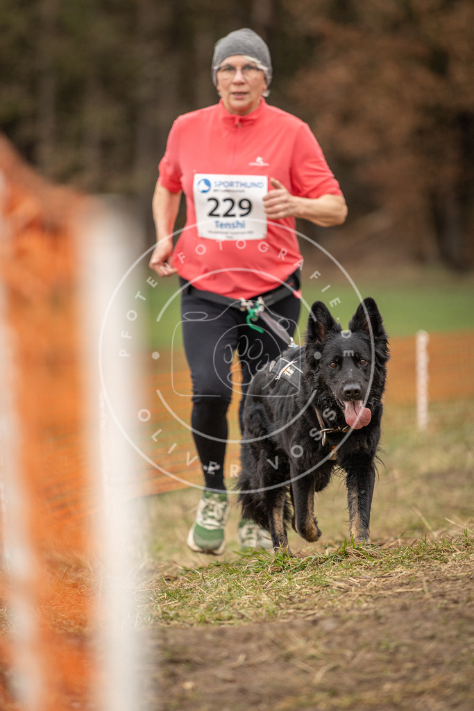 DV3A3053 | Hundefotografie, Tierfotograf, Pfotenfotografie, Fotoshooting Hund, Hunde Portrait, Hundesport, Hundeportraits, Heideshooting, Hunde, Sportfotograf, Hundefotograf, Turnierhundsport, THS,  - Realisiert mit Pictrs.com