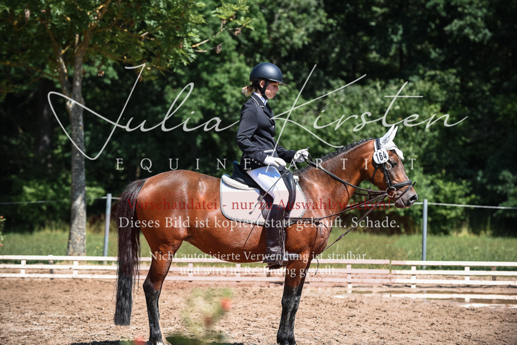 DSC_3075 | Pferde- und Turnierfotografie in Westsachsen. Pferdeportraits, Auftragszeichnungen und intuitive Kunst.