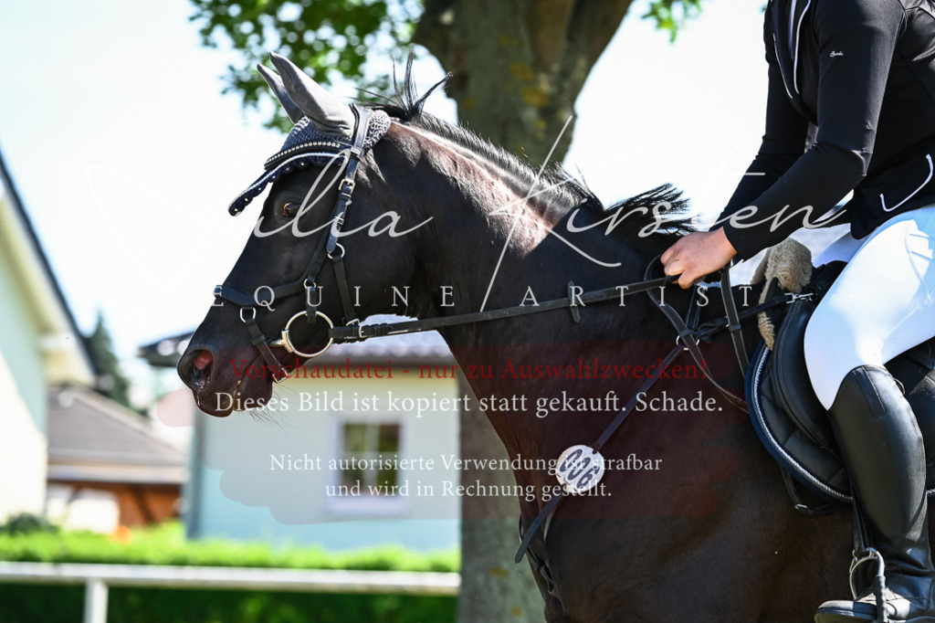 DSC_1628 | Pferde- und Turnierfotografie in Westsachsen. Pferdeportraits, Auftragszeichnungen und intuitive Kunst.