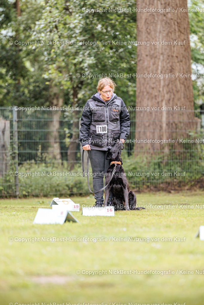 RO-Blumenthal-2026-Nickbest-Hundefotografie-5109 | Dein Hund! Dein Moment! Deine Erinnerungen! Hundefotografie in Bremen Blumenthal. Ich fange die besonderen Momente deines Vierbeiners ein – ob Indoor mit Blitzanlage oder in der freien Natur. Sicher dir dein Moment und dein Termin für eure Erinnerungen.