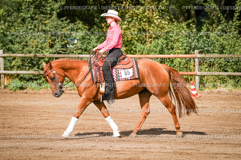 DSC09408 | Pferdegrafie