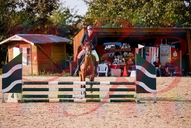 2026_10_03_Siefer-Hof_155340_Z81_73241390 | Professionelle Reitsport-, Turnier- und Eventfotografie von Robert Broda. Galerien mit ausgewählten und bearbeiteten Bildern direkt online ansehen und bestellen.