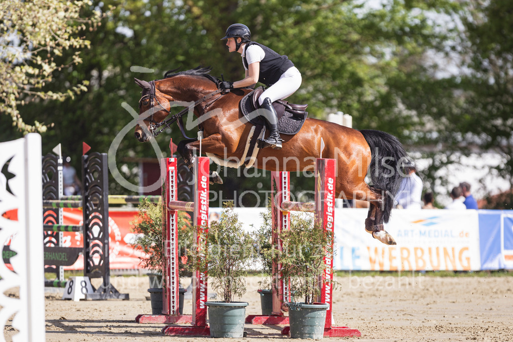 260503_Spenge_7_M2-Spr-m-steig-Anf-756 | Deine schönsten Turniermomente als professionelle Fotos! Entdecke hochwertige Pferdesport-Fotografie im Online-Shop. Jetzt Fotos finden & bestellen!