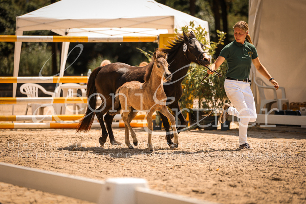 04.DoWP00041 | Leoni Ertmer Photography - Realisiert mit Pictrs.com