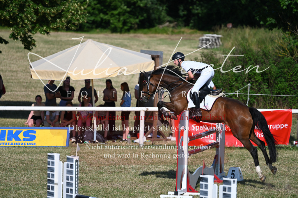 DSC_2520 | Pferde- und Turnierfotografie in Westsachsen. Pferdeportraits, Auftragszeichnungen und intuitive Kunst.