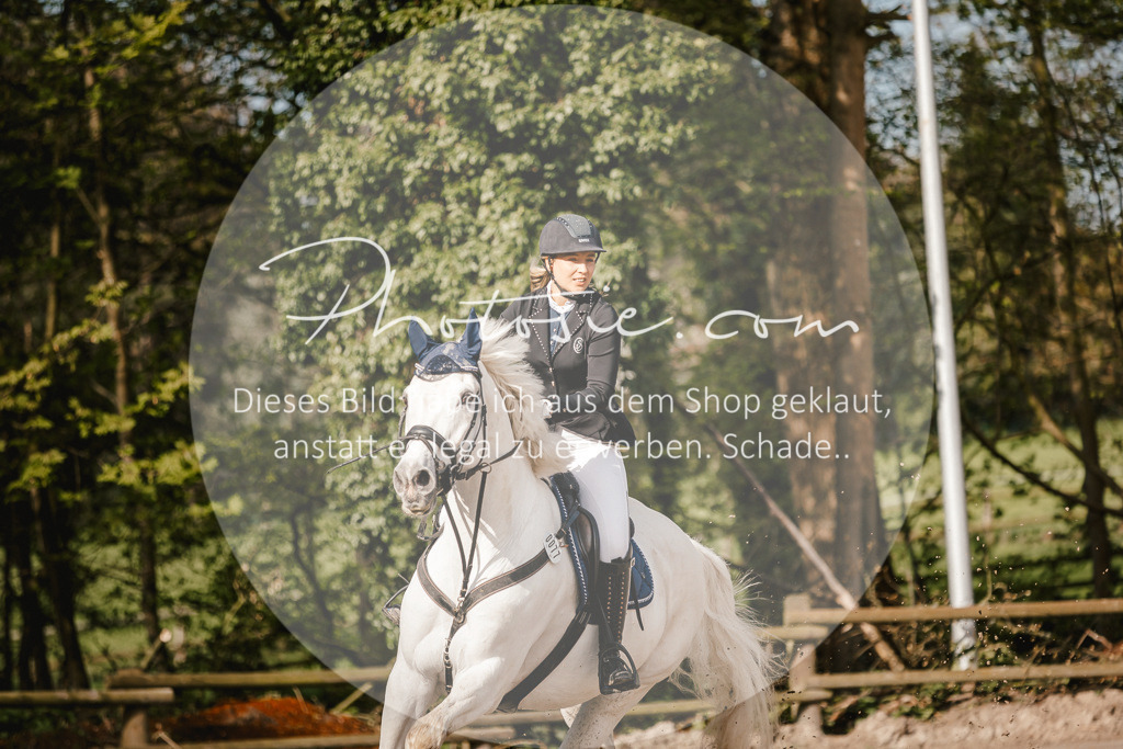 3I6A3514 | Stimmungsvolle Portraits und Reitsportfotografie im Ruhrgebiet und im Münsterland.

Pferdefotografie, Hundefotografie, Tierfotografie, Reportagen, Portraits von Tier und Mensch, Turnierfotografie in Bochum, Recklinghausen, Marl, Haltern am See, Dülmen.. - Realisiert mit Pictrs.com