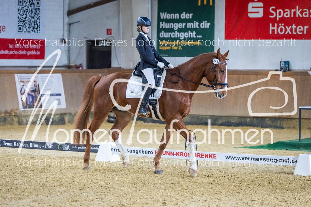 Sth-WBO25-EDr-136 | MomenTaufnahmen Pferdesportfotos