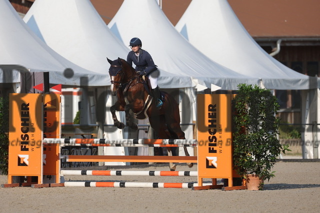 Weilheim_2024_Prfg.Nr.10_Springprfg_Kl.A_Ellen Muff_Cassandra 426 (2) | Alle Fotos der Reiterjournal Fotografin Doris Matthaes im Reiterjournal Online-Fotoshop. - Realisiert mit Pictrs.com