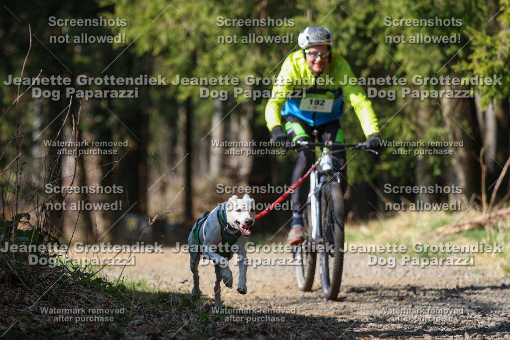 Dog Paparazzi - VCC26-190 | Dog Paparazzi Jeanette Grottendiek Fotografie & Videografie - Realisiert mit Pictrs.com