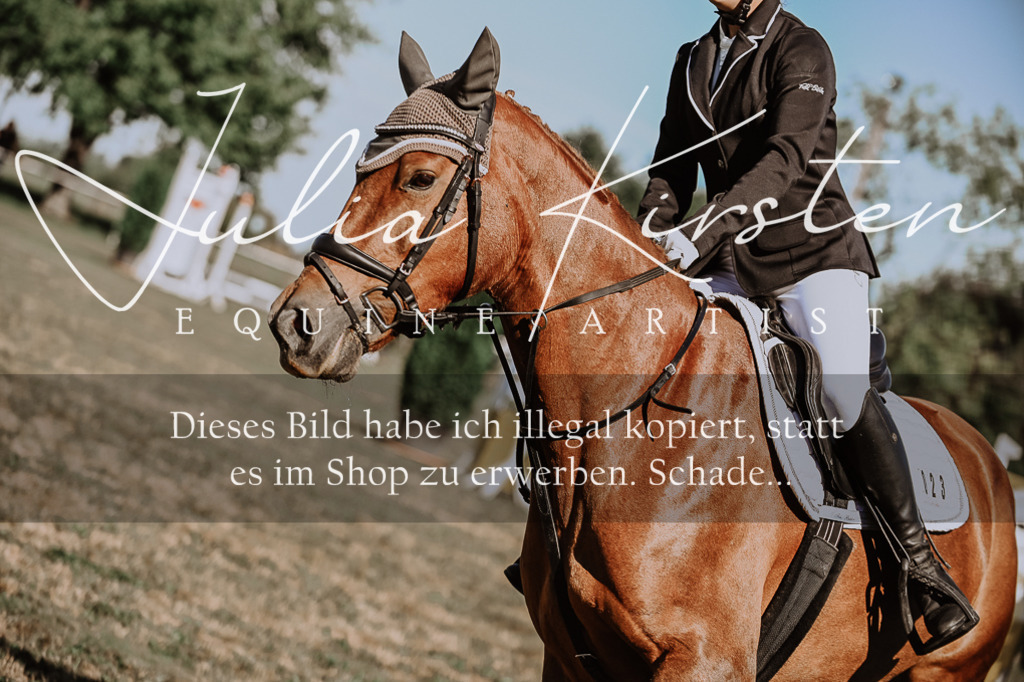 DSC_9375 | Pferde- und Turnierfotografie in Westsachsen. Pferdeportraits, Auftragszeichnungen und intuitive Kunst.