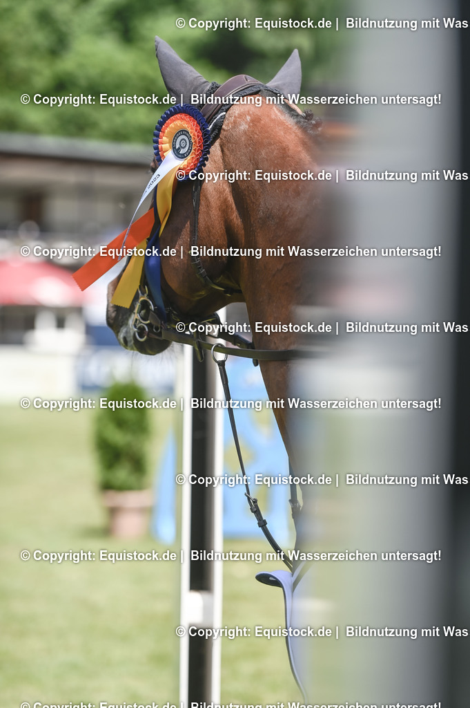 20230529_18_CSI4_Obermayr_0170 | equistock