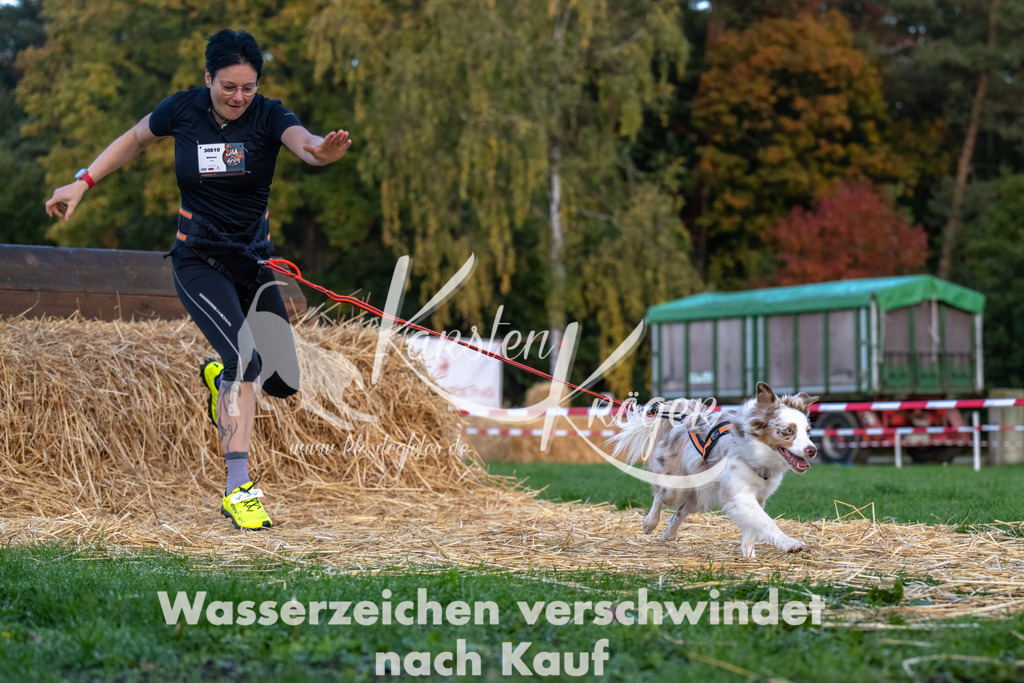 0815_ZZ90041-Bearbeitet | kk-dogfotos