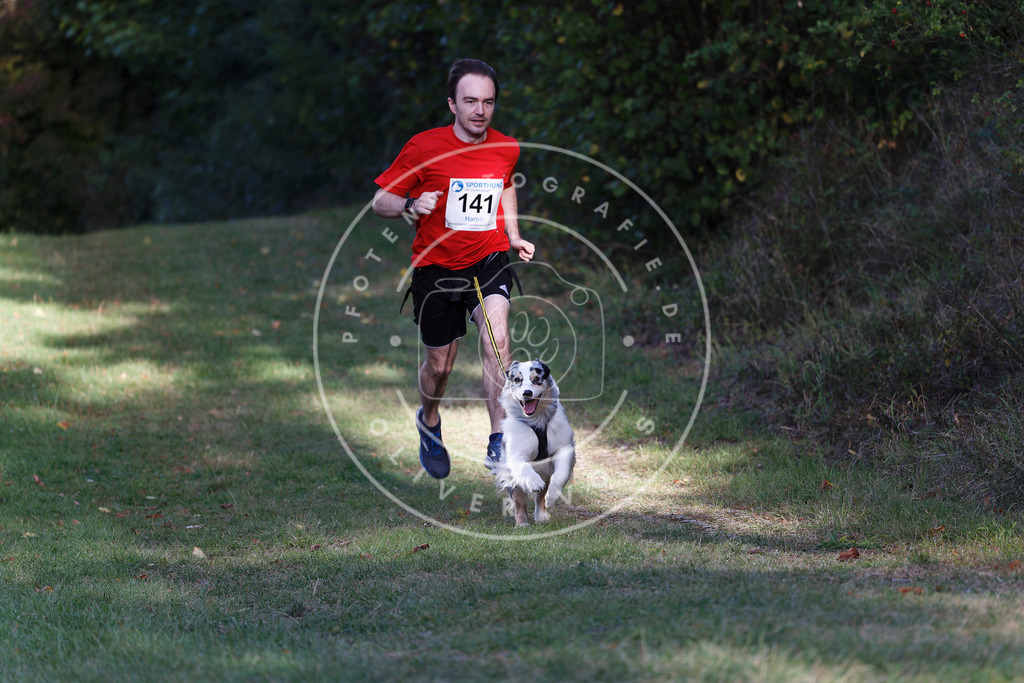 0L8A5111 | Hundefotografie, Tierfotograf, Pfotenfotografie, Fotoshooting Hund, Hunde Portrait, Hundesport, Hundeportraits, Heideshooting, Hunde, Sportfotograf, Hundefotograf, Turnierhundsport, THS,  - Realisiert mit Pictrs.com