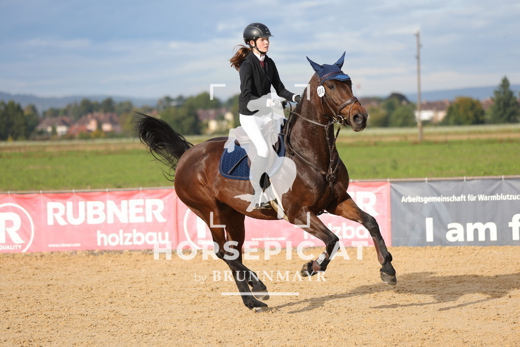 0P6A5397 | Willkommen bei Brunnmayr - Design & Fotografie – Ihrem Spezialisten für Reitturniere und Pferdeveranstaltungen in Oberösterreich, Salzburg und Bayern! Seit über 17 Jahren sind wir leidenschaftlich dabei.
