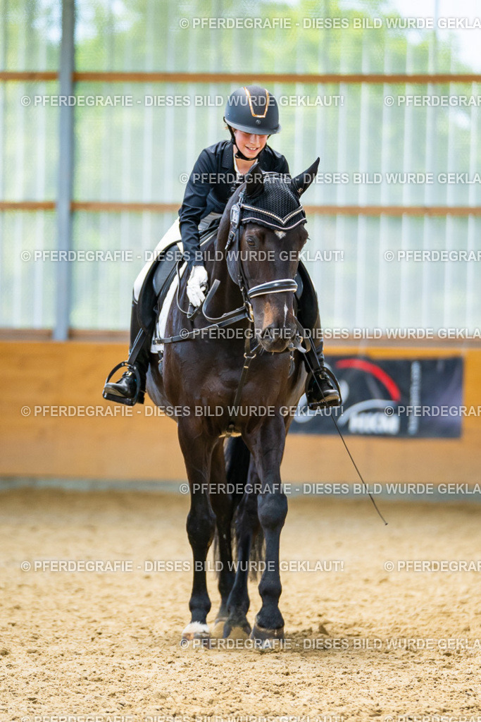 DSC09543 | Pferdegrafie