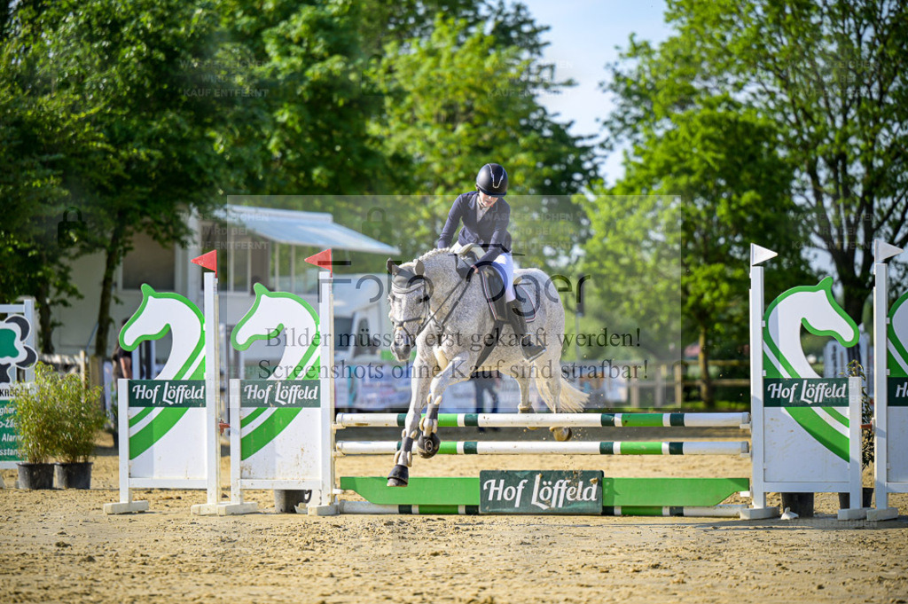 Reitturnier Lienen | Entdecke hochwertige Reitturnierfotos von Foto Oger. Professionell, emotional und authentisch – jetzt Lieblingsmomente im Shop bestellen. - Realisiert mit Pictrs.com