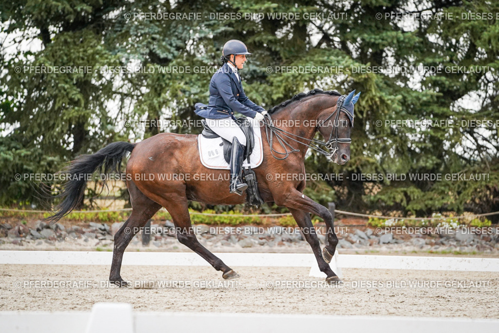 DSC09588 | Pferdegrafie