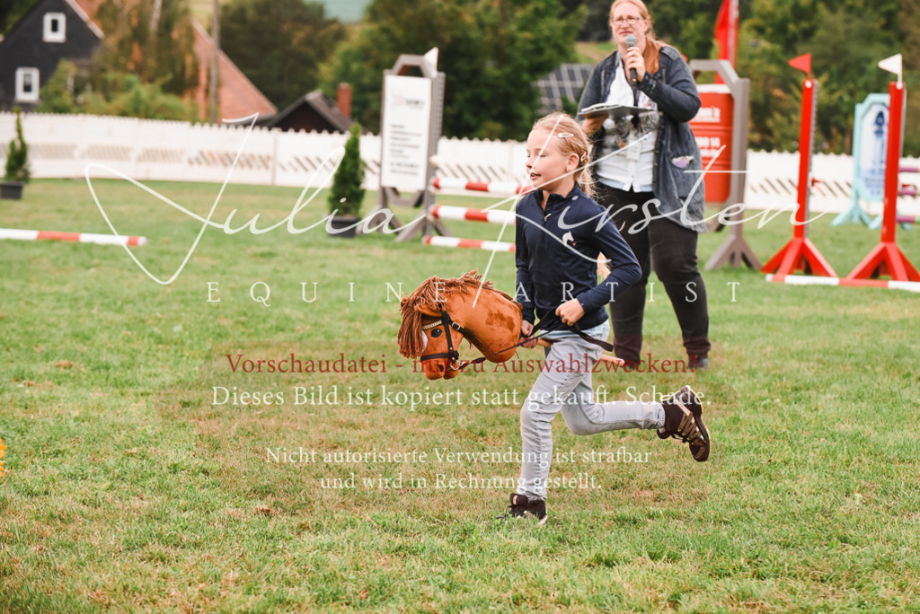 DSC_4531 | Pferde- und Turnierfotografie in Westsachsen. Pferdeportraits, Auftragszeichnungen und intuitive Kunst.