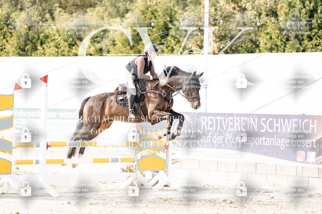 CK906560 | Turnierfotografie Pferdefotografie Trier Rheinland-Pfalz Pferdesport Reitsport Tierfotografie Sportfotografie Pferdevideo Pferdevideografie Equestrianvideography equestrianphotography  - Realisiert mit Pictrs.com