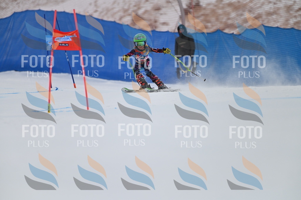 BGV_0318 | holidayphoto